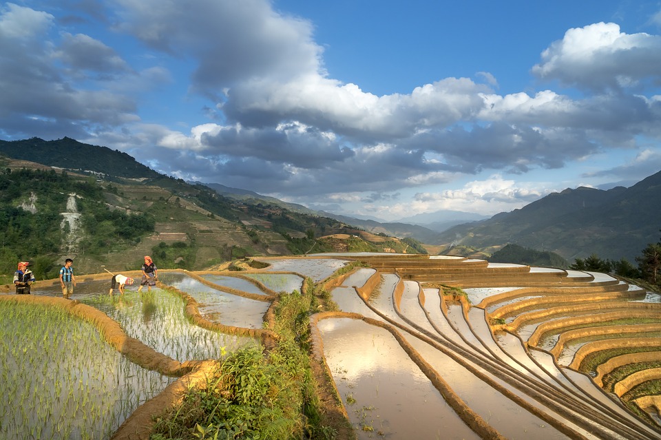 Rizières en terrasse à Ha Giang Ha Giang au Vietnam