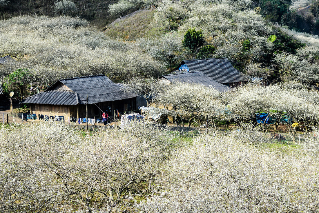 Villages des ethnies du marché de Bac Ha marché de Bac Ha au Vietnam