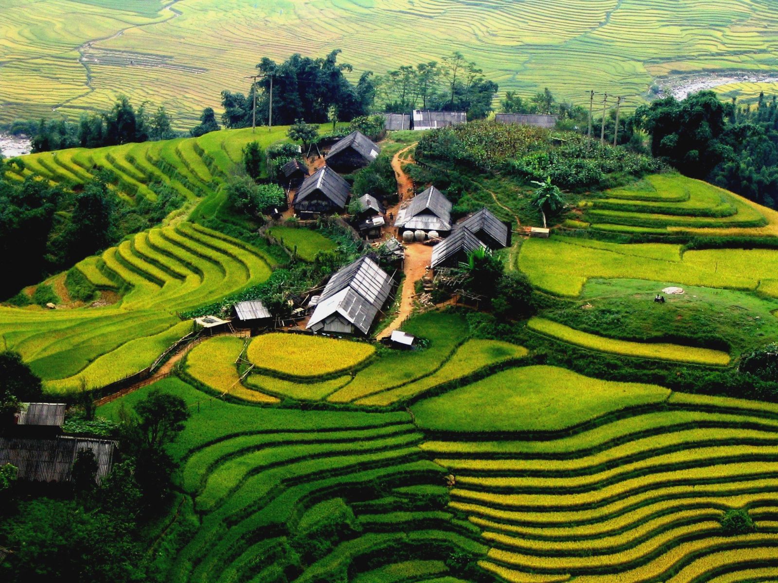 Sapa au Vietnam pendant la récolte du riz Sapa au Vietnam