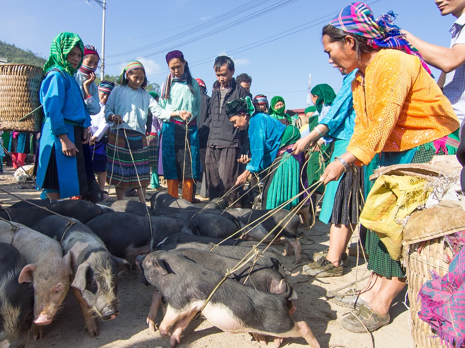 Marché de Dong Van à Ha Giang Ha Giang au Vietnam