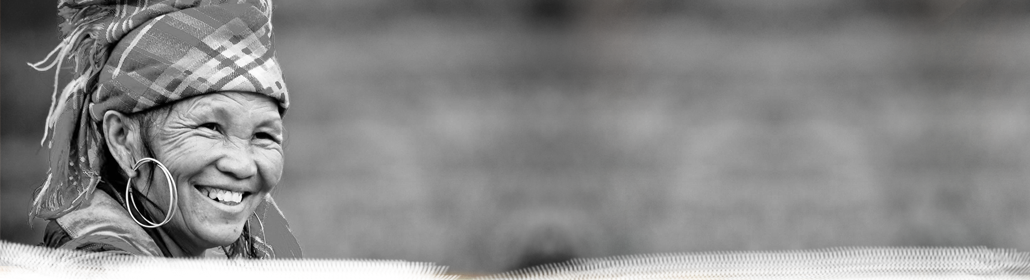 banner sapa