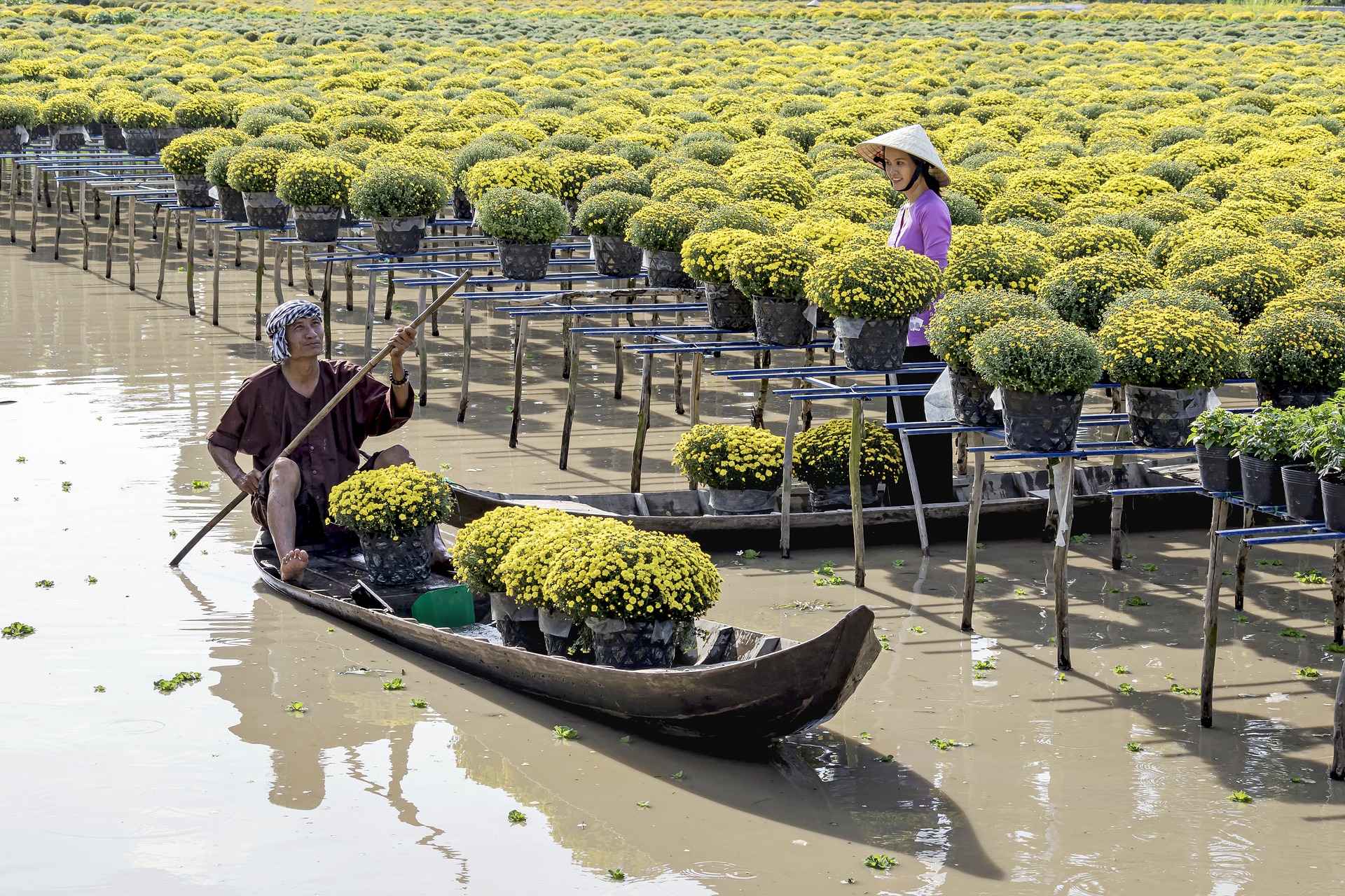 Fresh Air of Mekong by Cruise - 3 Days