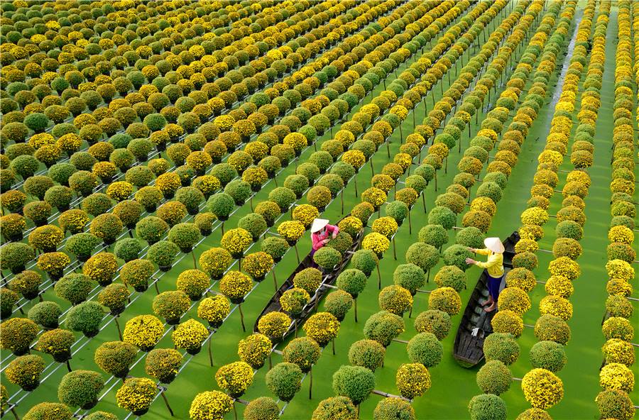 Voyage agricole au Vietnam 15J.