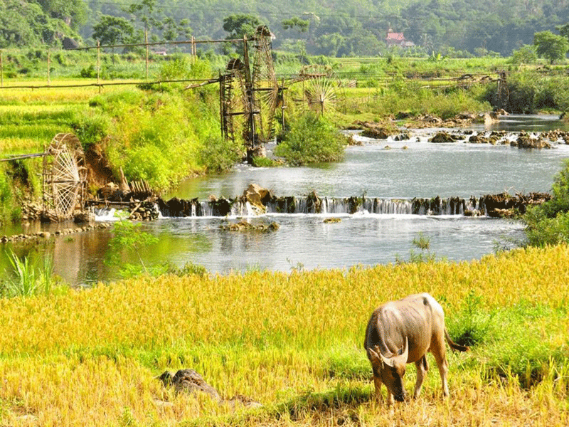 Pu Luong - Le pays des Muong - 9 jours